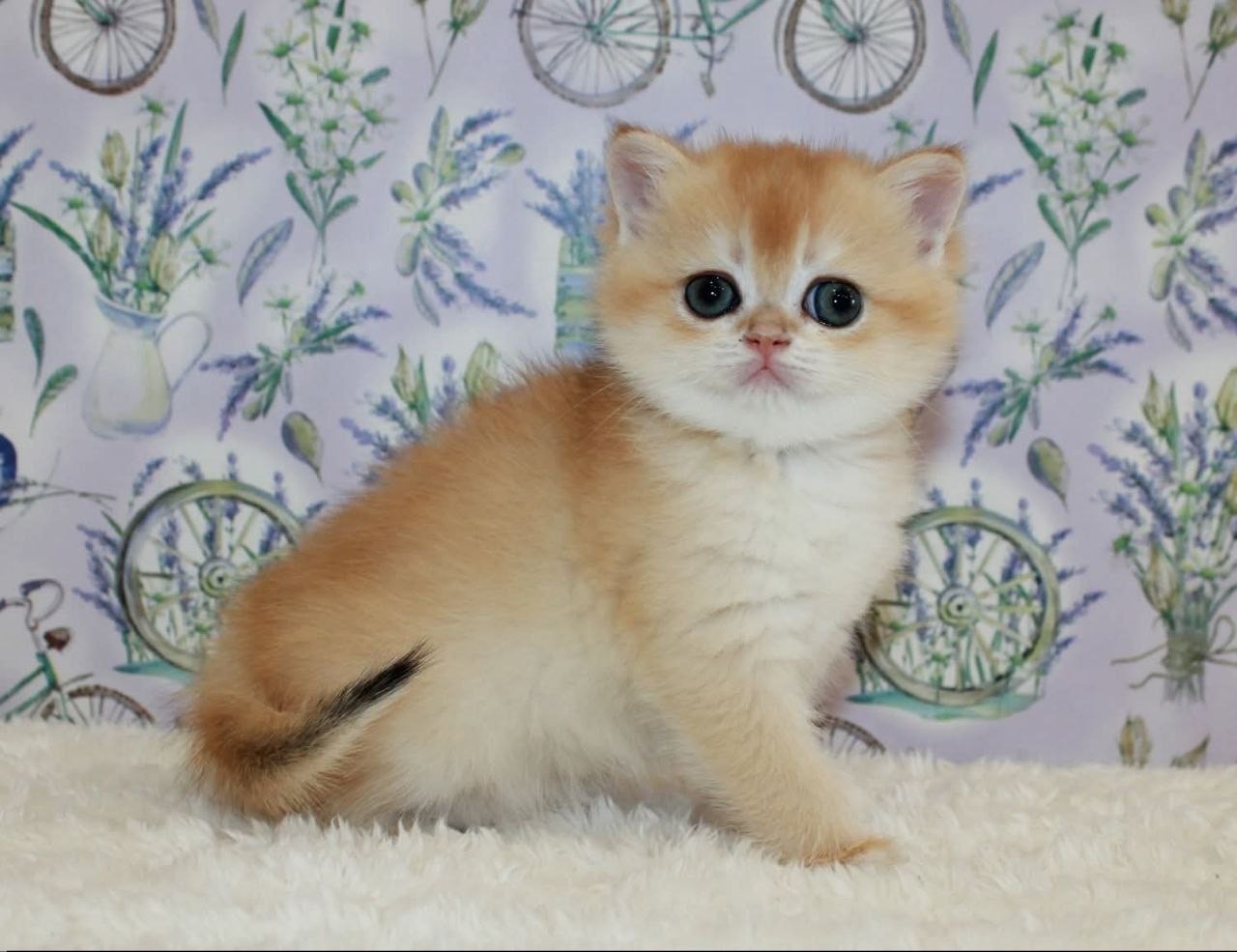 Pixel