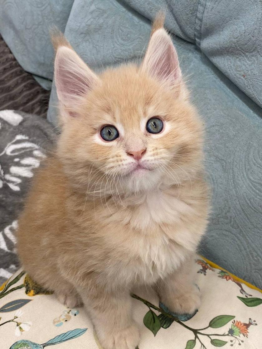 Rosie
